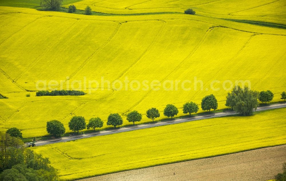 Aerial image Erkrath - Field landscape yellow flowering rapeseed flowers near Erkrath in the state North Rhine-Westphalia