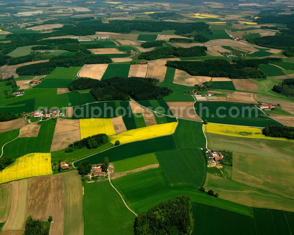 Bergham from above - Field landscape yellow flowering rapeseed flowers in Bergham in the state Bavaria, Germany