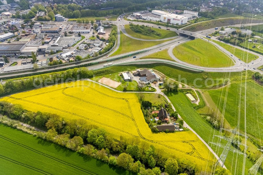 Birth from above - Field landscape yellow flowering rapeseed flowers in Birth in the state North Rhine-Westphalia, Germany