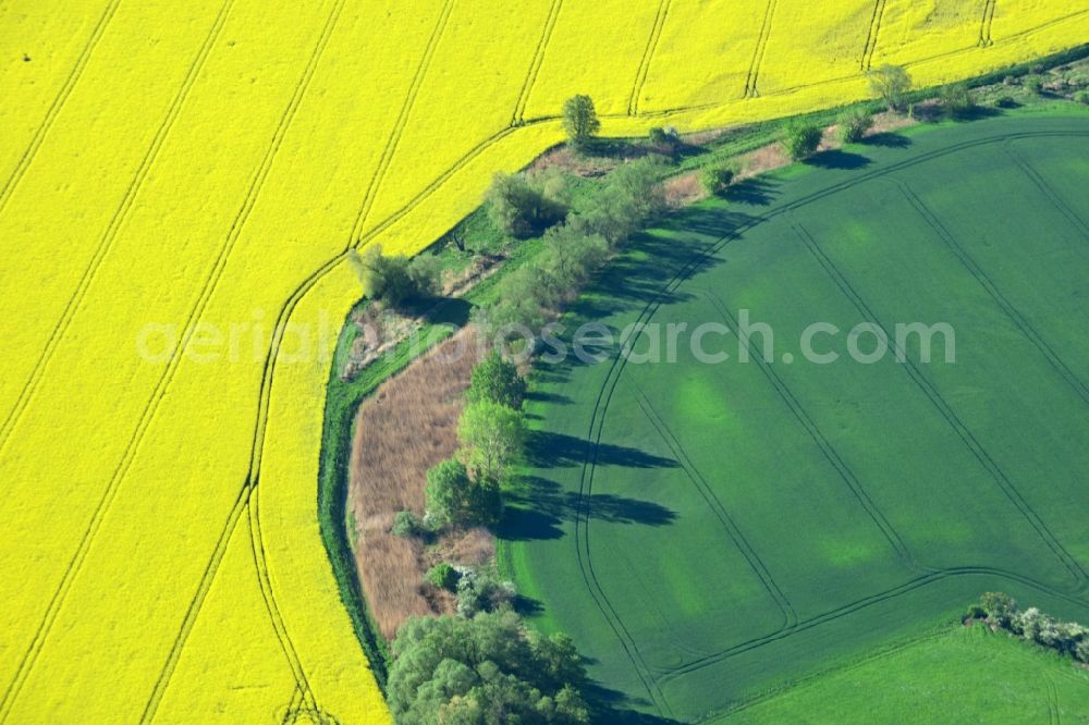 Aerial photograph Dabrun - Field landscape yellow flowering rapeseed flowers in Dabrun in the state Saxony-Anhalt