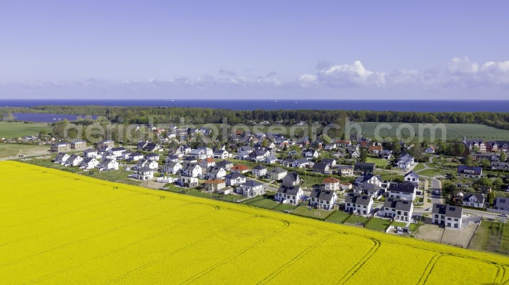 Aerial image Diedrichshagen - Field landscape yellow flowering rapeseed flowers in Diedrichshagen in the state Mecklenburg - Western Pomerania, Germany