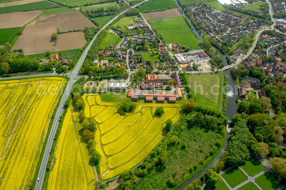 Drensteinfurt from the bird's eye view: Field landscape yellow flowering rapeseed flowers in Drensteinfurt in the state North Rhine-Westphalia, Germany