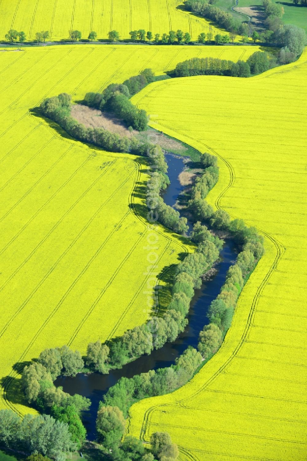 Altlandsberg from above - Field landscape yellow flowering rapeseed flowers in Altlandsberg in the state Brandenburg