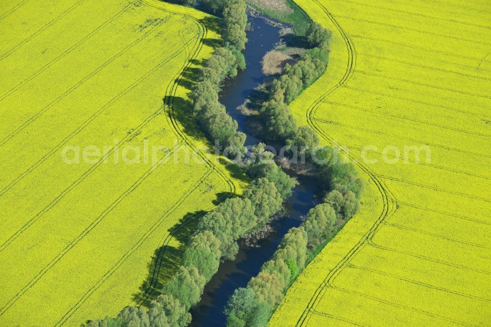 Altlandsberg from the bird's eye view: Field landscape yellow flowering rapeseed flowers in Altlandsberg in the state Brandenburg