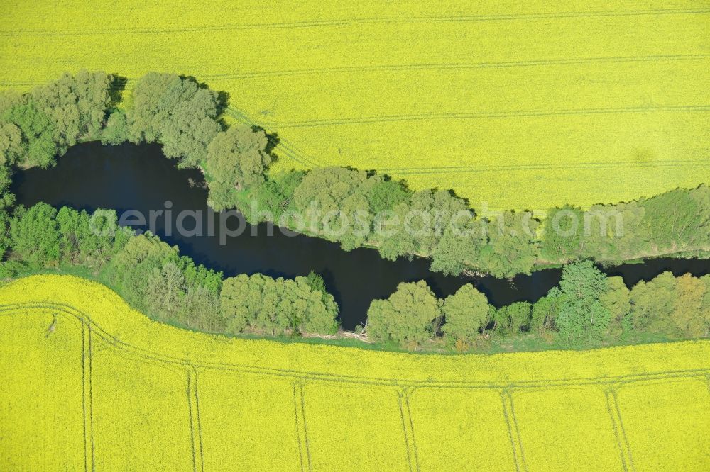 Aerial image Altlandsberg - Field landscape yellow flowering rapeseed flowers in Altlandsberg in the state Brandenburg