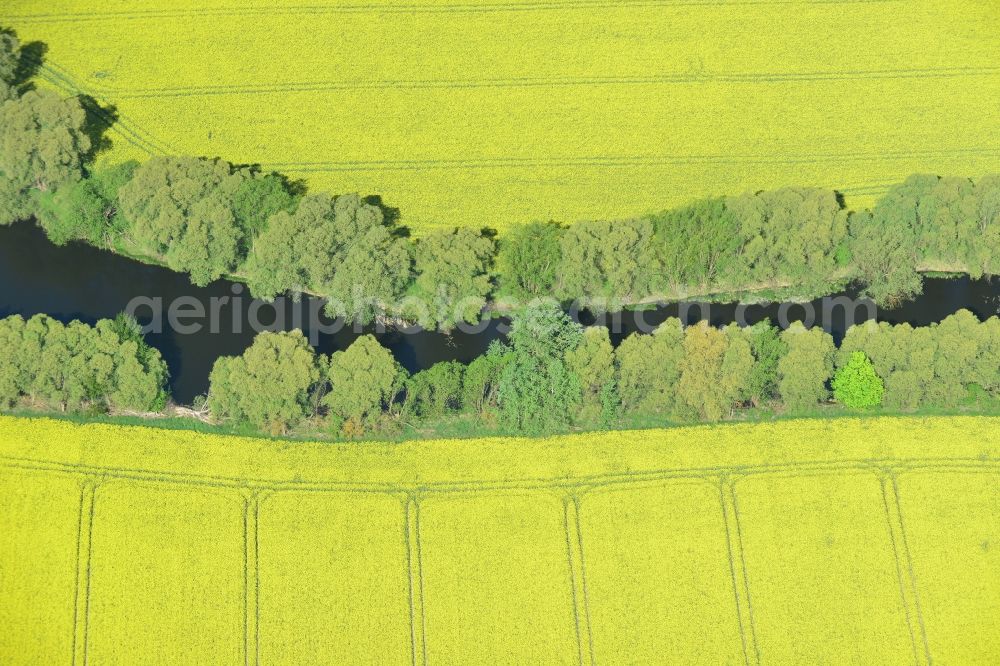 Aerial photograph Altlandsberg - Field landscape yellow flowering rapeseed flowers in Altlandsberg in the state Brandenburg