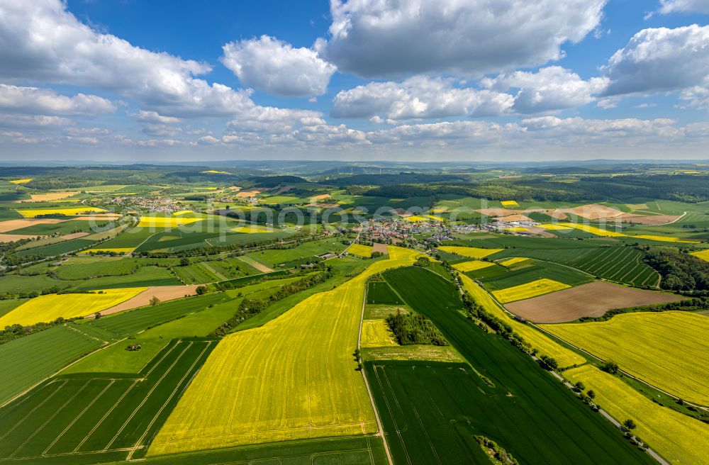 Aerial image Erkeln - Field landscape yellow flowering rapeseed flowers in Erkeln in the state North Rhine-Westphalia, Germany