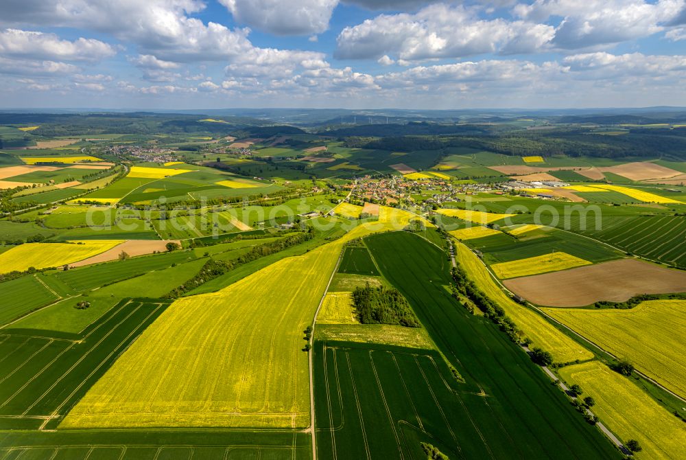 Aerial photograph Erkeln - Field landscape yellow flowering rapeseed flowers in Erkeln in the state North Rhine-Westphalia, Germany