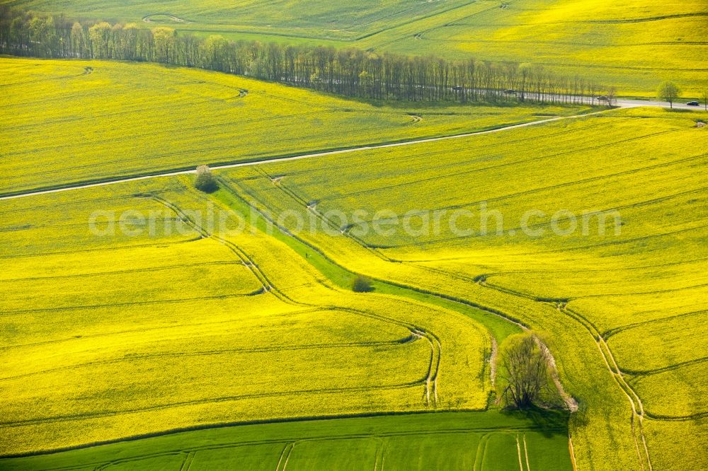 Aerial image Erkrath - Field landscape yellow flowering rapeseed flowers in Erkrath in the state North Rhine-Westphalia