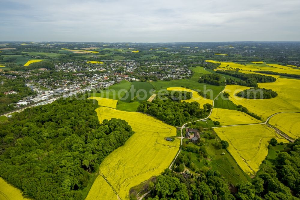 Aerial image Erkrath - Field landscape yellow flowering rapeseed flowers in Erkrath in the state North Rhine-Westphalia