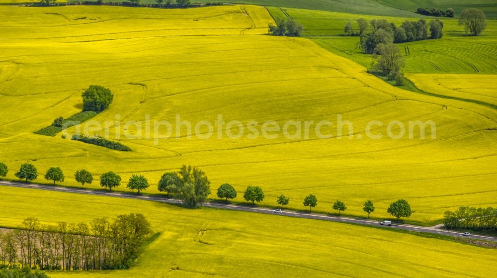 Aerial image Erkrath - Field landscape yellow flowering rapeseed flowers in Erkrath in the state North Rhine-Westphalia