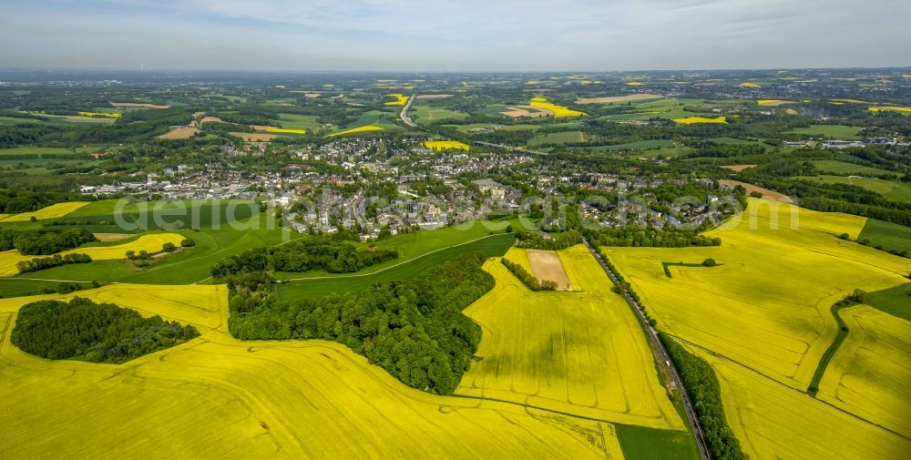 Erkrath from above - Field landscape yellow flowering rapeseed flowers in Erkrath in the state North Rhine-Westphalia