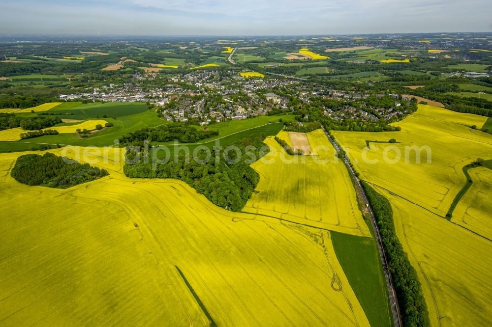 Erkrath from the bird's eye view: Field landscape yellow flowering rapeseed flowers in Erkrath in the state North Rhine-Westphalia