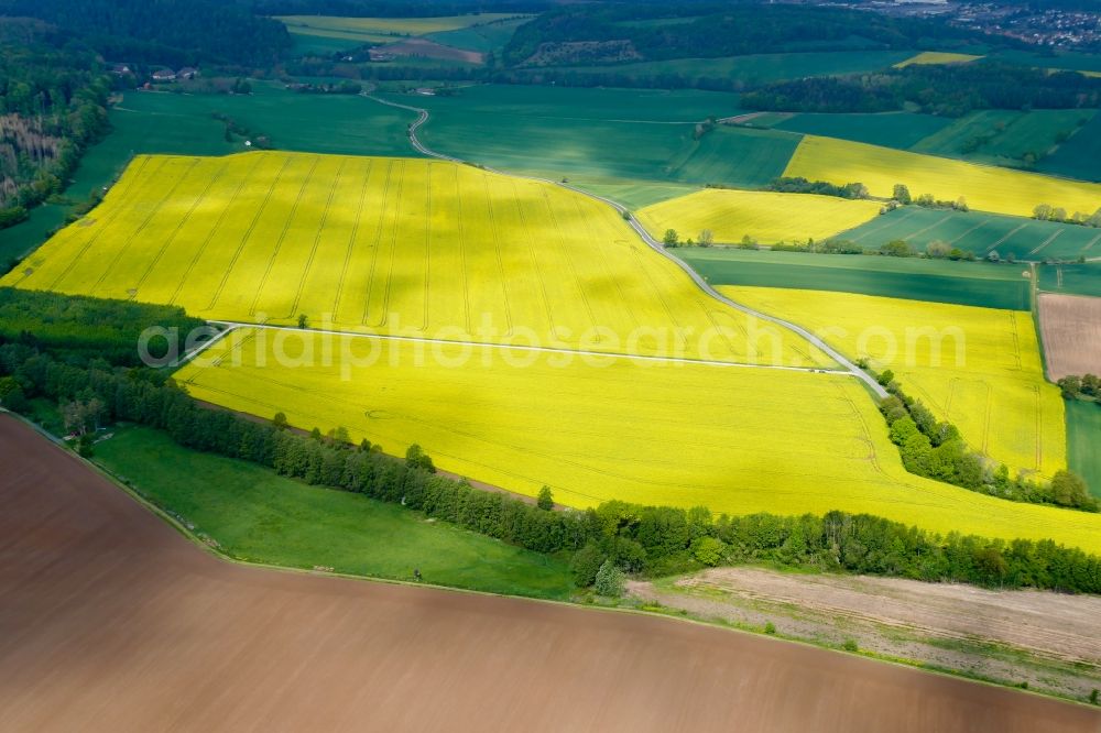 Aerial image Esebeck - Field landscape yellow flowering rapeseed flowers in Esebeck in the state Lower Saxony, Germany