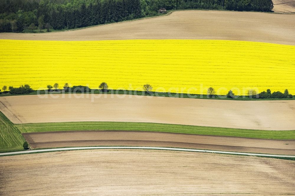 Falkenberg from the bird's eye view: Field landscape yellow flowering rapeseed flowers in Falkenberg in the state Bavaria, Germany