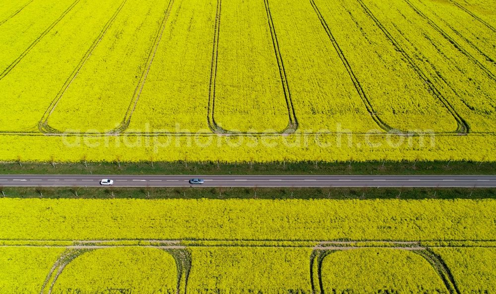 Falkenhagen (Mark) from above - Field landscape yellow flowering rapeseed flowers in Falkenhagen (Mark) in the state Brandenburg, Germany