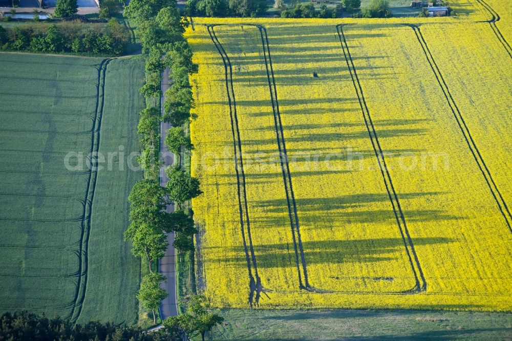 Flatow from above - Field landscape yellow flowering rapeseed flowers in Flatow in the state Brandenburg, Germany