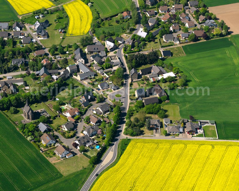 Gierschnach from above - Field landscape yellow flowering rapeseed flowers in Gierschnach in the state Rhineland-Palatinate, Germany