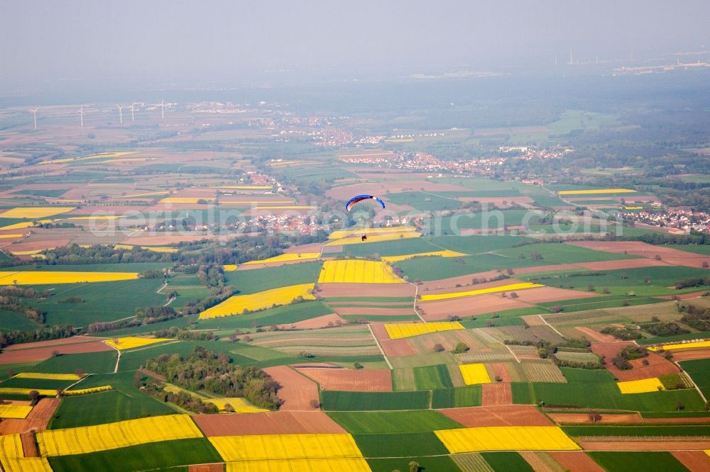 Niederotterbach from above - Field landscape yellow flowering rapeseed flowers with paraglider in Niederotterbach in the state Rhineland-Palatinate