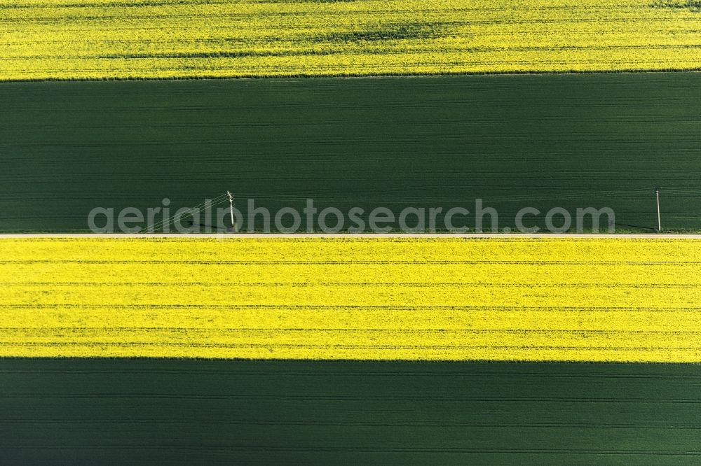 Greding from the bird's eye view: Field landscape yellow flowering rapeseed flowers in Greding in the state Bavaria, Germany