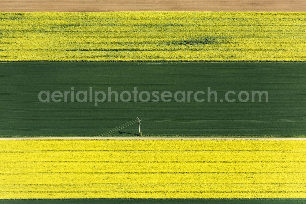 Aerial image Greding - Field landscape yellow flowering rapeseed flowers in Greding in the state Bavaria, Germany