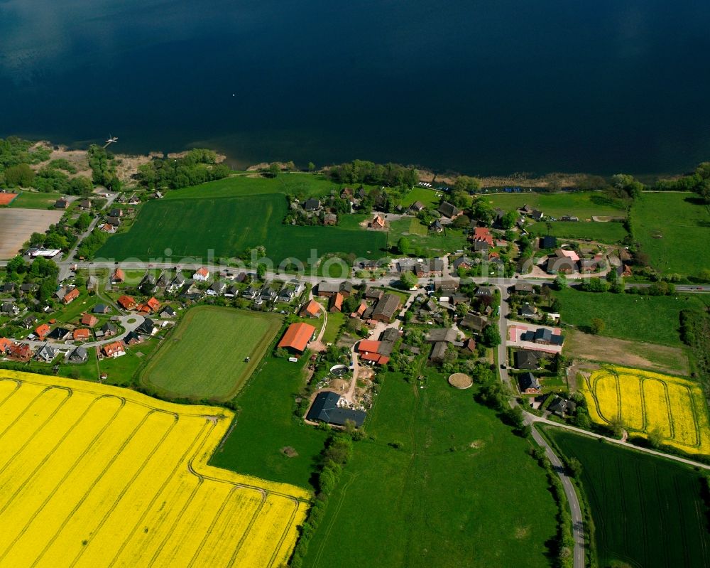 Groß Sarau from above - Field landscape yellow flowering rapeseed flowers in Groß Sarau in the state Schleswig-Holstein, Germany