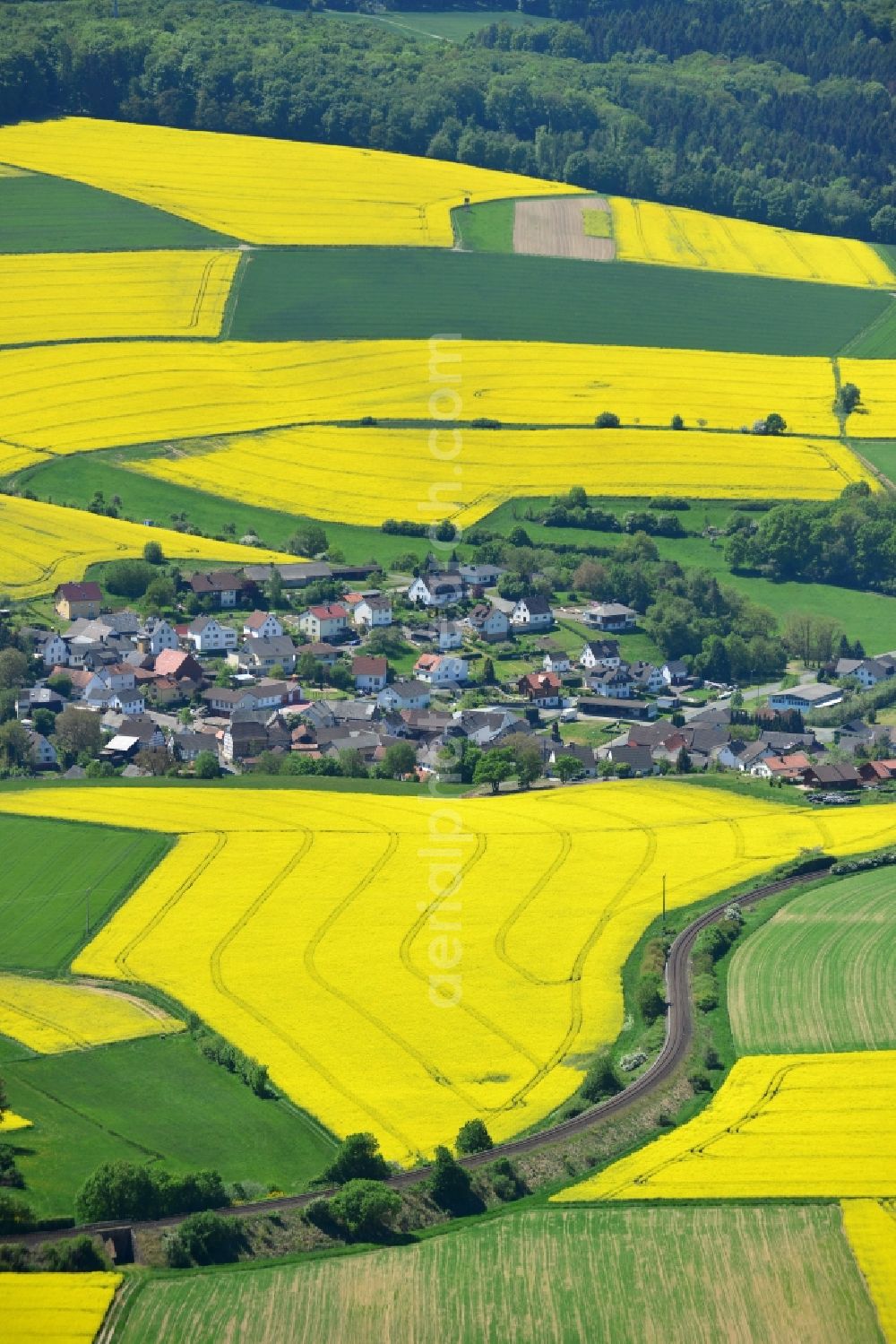 Grävenwiesbach from above - Field landscape yellow flowering rapeseed flowers in Graevenwiesbach in the state Hesse