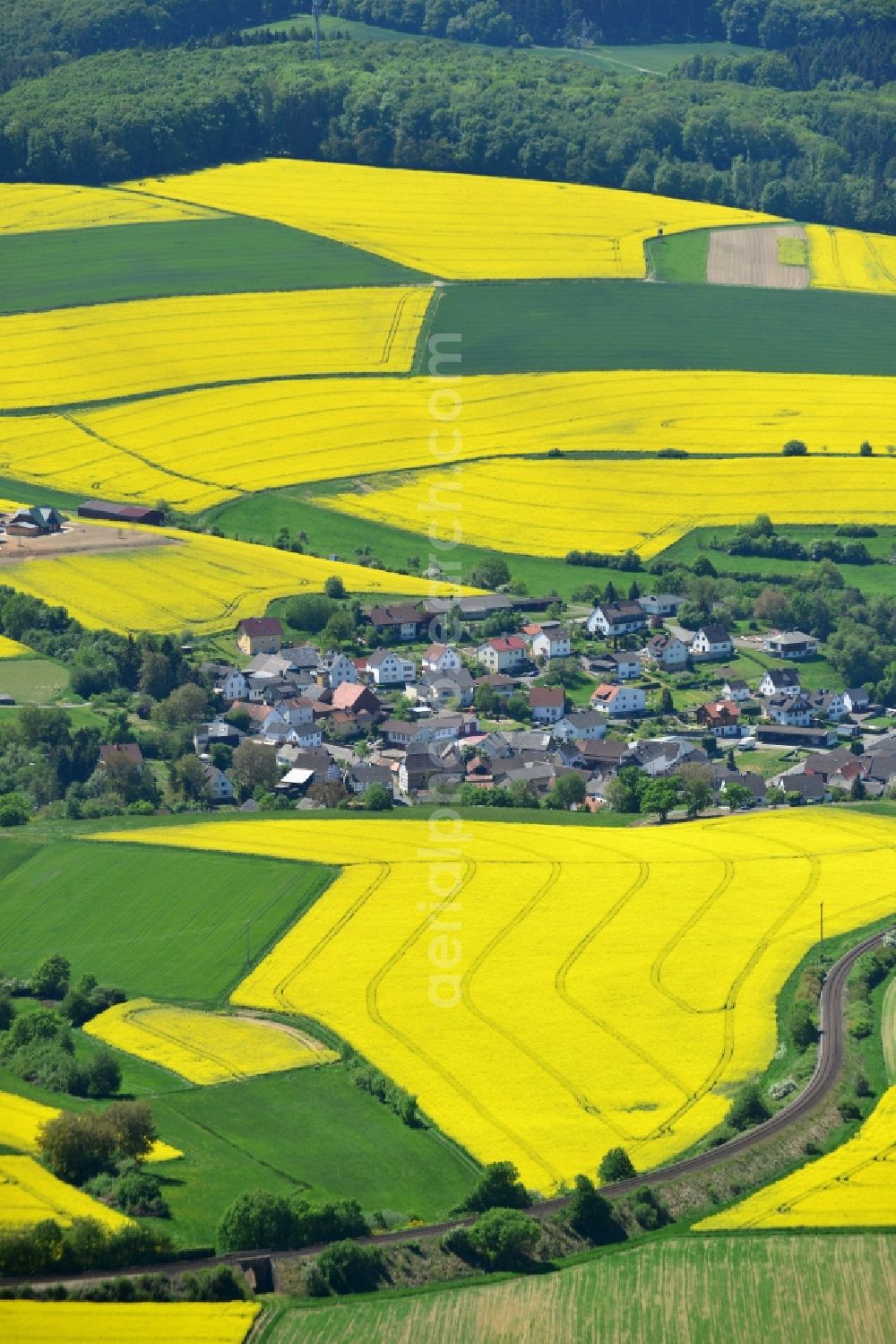 Grävenwiesbach from the bird's eye view: Field landscape yellow flowering rapeseed flowers in Graevenwiesbach in the state Hesse