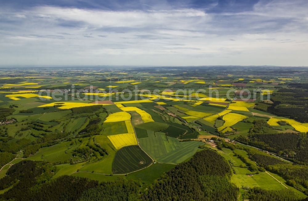 Aerial image Heimbach - Field landscape yellow flowering rapeseed flowers in Heimbach in the state North Rhine-Westphalia