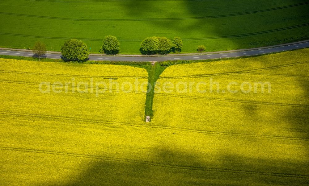 Hessenbleck from above - Field landscape yellow flowering rapeseed flowers in Hessenbleck at Ruhrgebiet in the state North Rhine-Westphalia, Germany