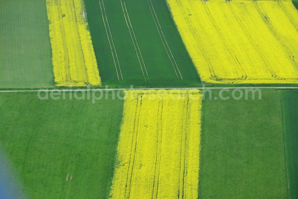 Karbach from above - Field landscape yellow flowering rapeseed flowers in Karbach in the state Bavaria