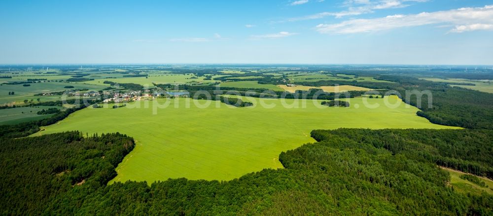 Aerial photograph Kartkowo - Field landscape yellow flowering rapeseed flowers in Kartkowo in Pomorskie, Poland