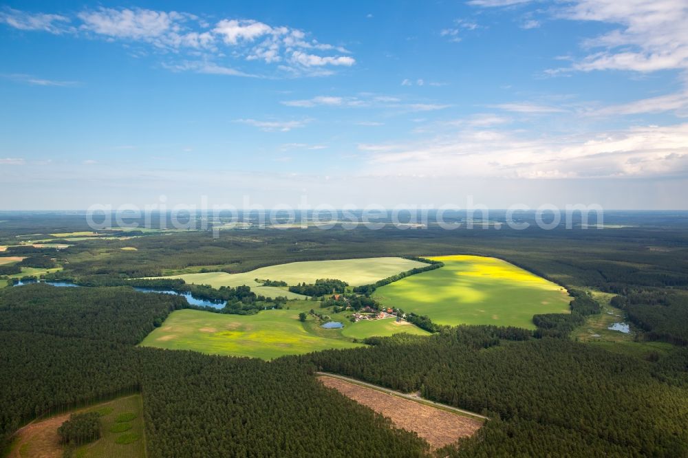 Kartkowo from above - Field landscape yellow flowering rapeseed flowers in Kartkowo in Pomorskie, Poland