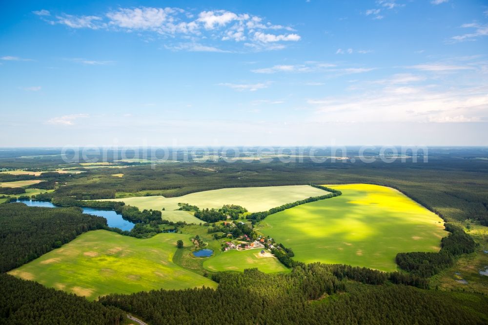 Kartkowo from the bird's eye view: Field landscape yellow flowering rapeseed flowers in Kartkowo in Pomorskie, Poland