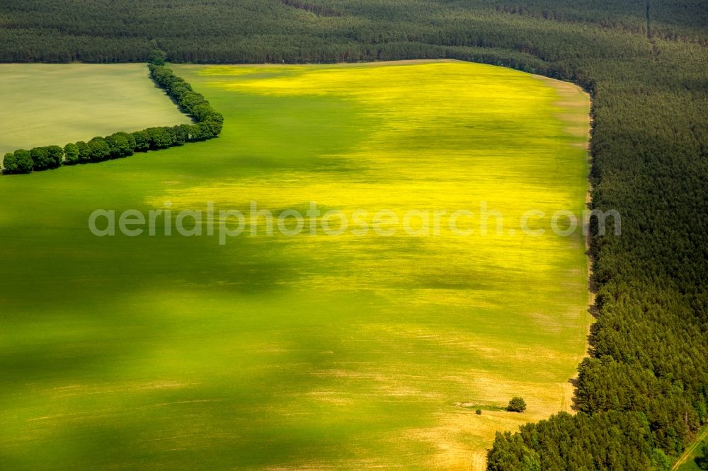 Kartkowo from above - Field landscape yellow flowering rapeseed flowers in Kartkowo in Pomorskie, Poland