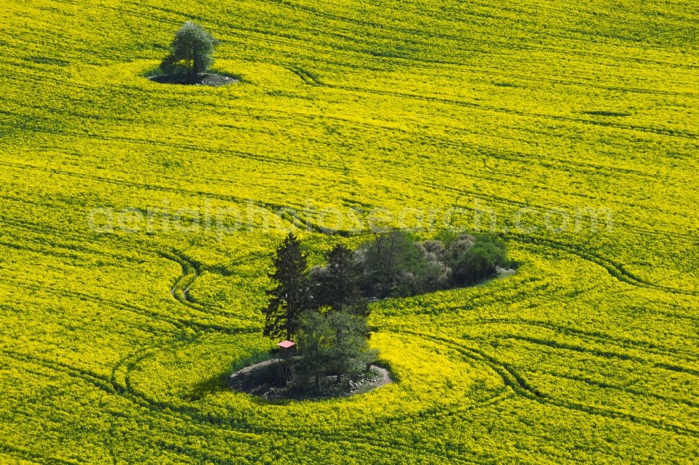 Laeven from the bird's eye view: Field landscape yellow flowering rapeseed flowers in Laeven in the state Mecklenburg - Western Pomerania, Germany