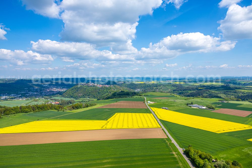 Marsberg from the bird's eye view: Field landscape yellow flowering rapeseed flowers in Marsberg at Sauerland in the state North Rhine-Westphalia, Germany