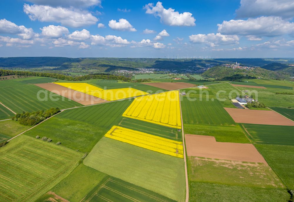 Aerial photograph Marsberg - Field landscape yellow flowering rapeseed flowers in Marsberg at Sauerland in the state North Rhine-Westphalia, Germany