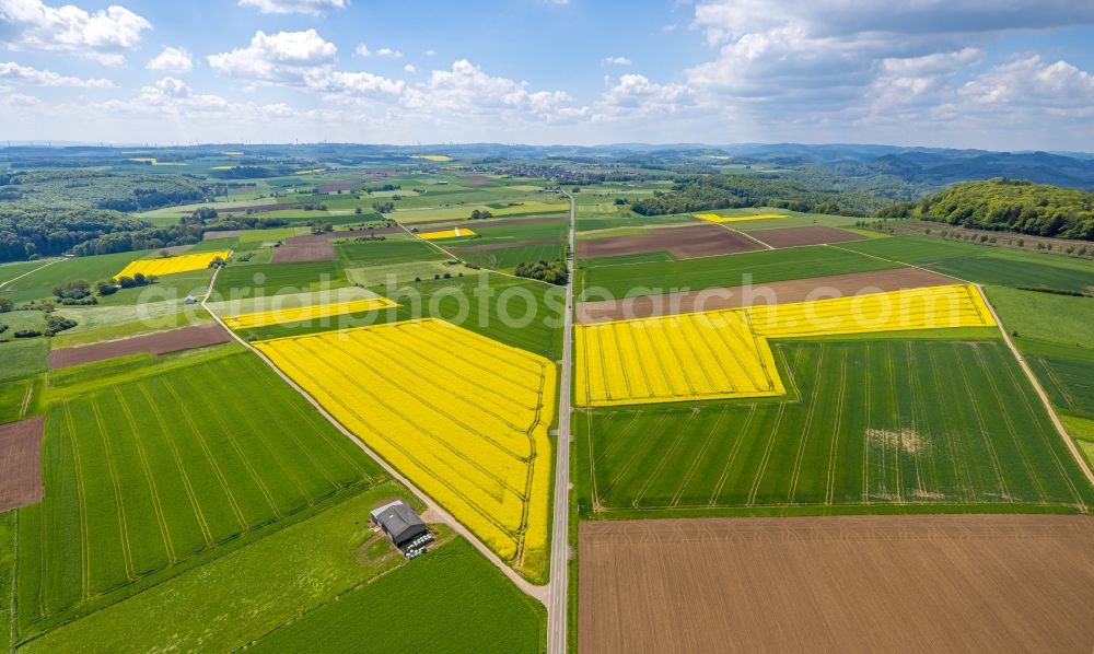 Marsberg from above - Field landscape yellow flowering rapeseed flowers in Marsberg at Sauerland in the state North Rhine-Westphalia, Germany