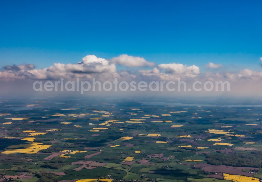 Mittelangeln from above - Field landscape yellow flowering rapeseed flowers in Mittelangeln in the state Schleswig-Holstein, Germany