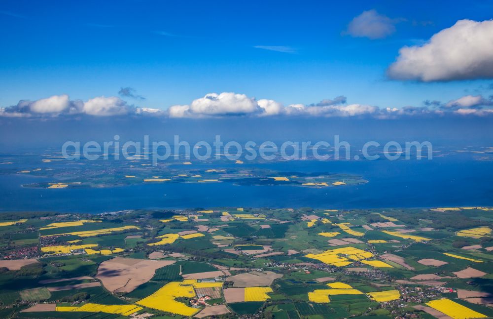 Aerial image Mittelangeln - Field landscape yellow flowering rapeseed flowers in Mittelangeln in the state Schleswig-Holstein, Germany