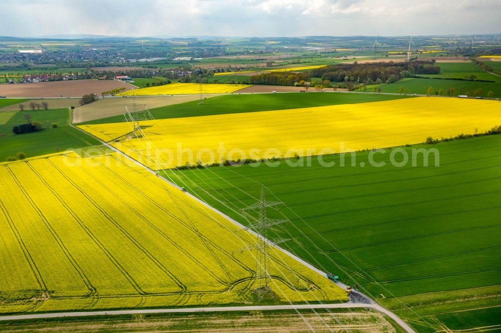 Werl from above - Field landscape yellow flowering rapeseed flowers in the district Hilbeck in Werl in the state North Rhine-Westphalia