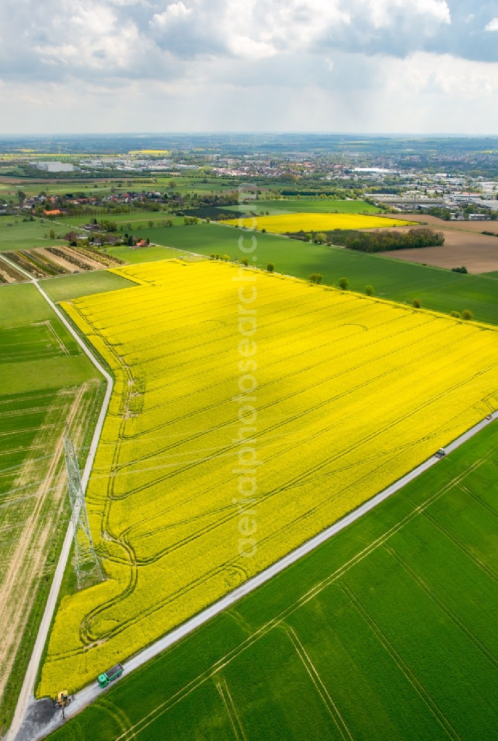 Werl from the bird's eye view: Field landscape yellow flowering rapeseed flowers in the district Hilbeck in Werl in the state North Rhine-Westphalia