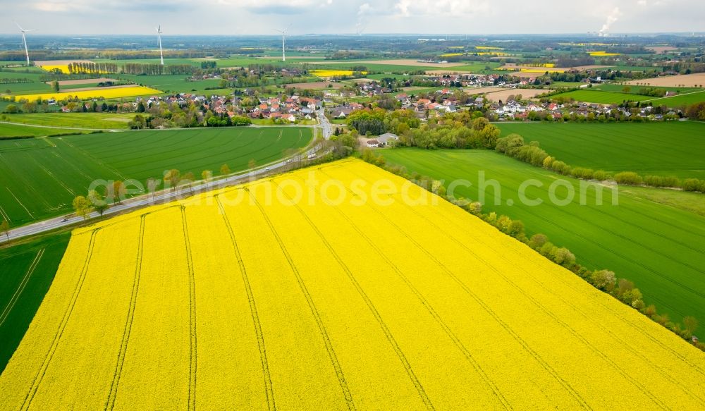 Werl from above - Field landscape yellow flowering rapeseed flowers in the district Hilbeck in Werl in the state North Rhine-Westphalia