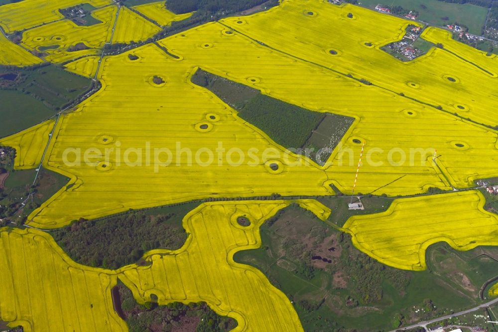 Rostock from above - Field landscape yellow flowering rapeseed flowers in the district Krummendorf in Rostock in the state Mecklenburg - Western Pomerania, Germany