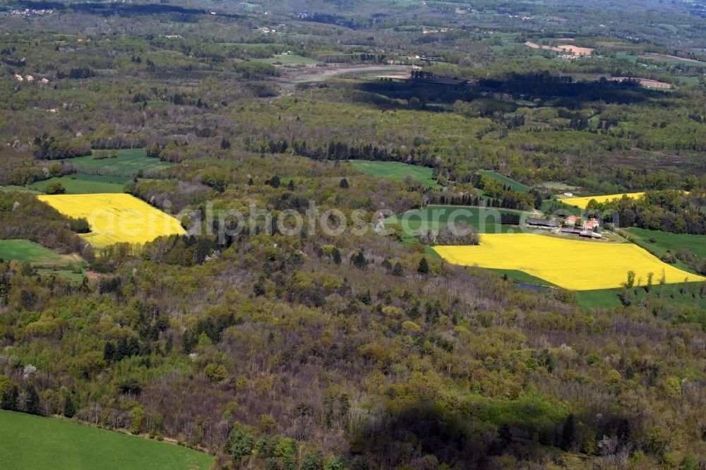 Aerial image Piégut-Pluviers - Field landscape yellow flowering rapeseed flowers in Piegut-Pluviers in Aquitaine Limousin Poitou-Charentes, France