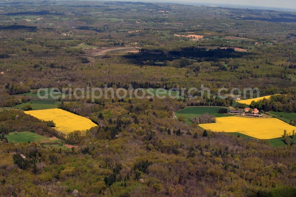 Piégut-Pluviers from above - Field landscape yellow flowering rapeseed flowers in Piegut-Pluviers in Aquitaine Limousin Poitou-Charentes, France