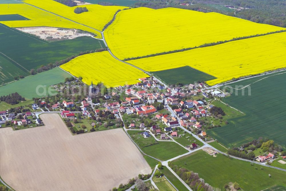 Aerial photograph Quatitz - Field landscape yellow flowering rapeseed flowers in Quatitz in the state Saxony, Germany