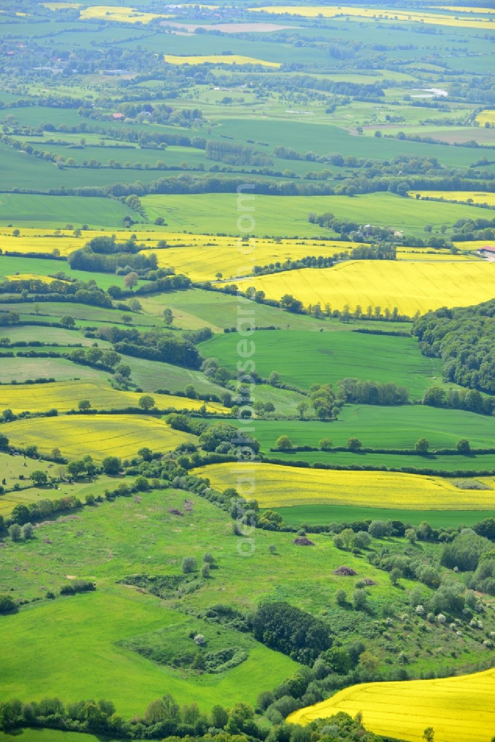 Aerial image Ratekau - Field landscape yellow flowering rapeseed flowers in Ratekau in the state Schleswig-Holstein