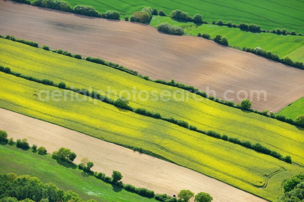 Ratekau from the bird's eye view: Field landscape yellow flowering rapeseed flowers in Ratekau in the state Schleswig-Holstein